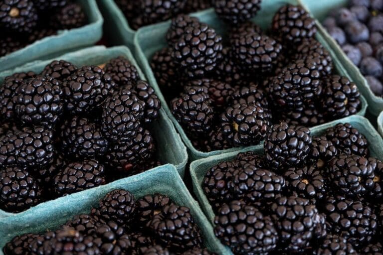 blackberries-market