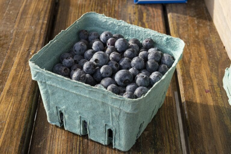 blueberries