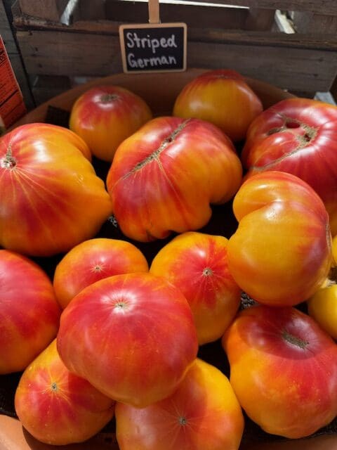 Heirloom Tomatoes