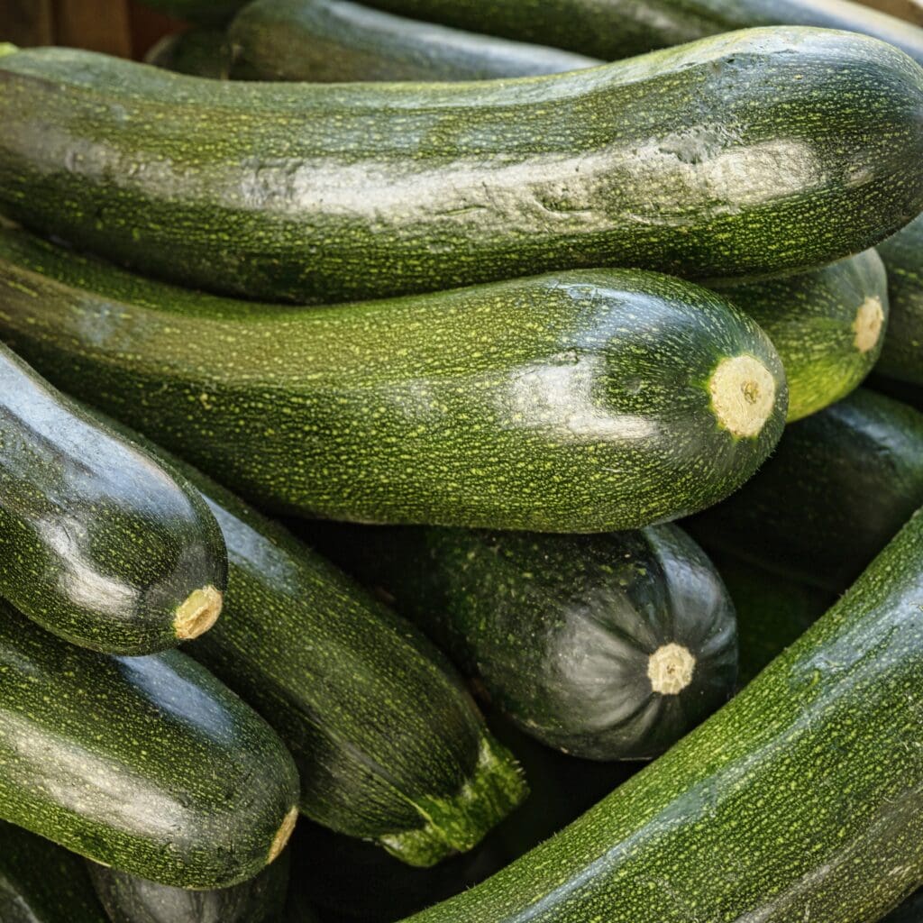 1/2 Bushel of Zucchini