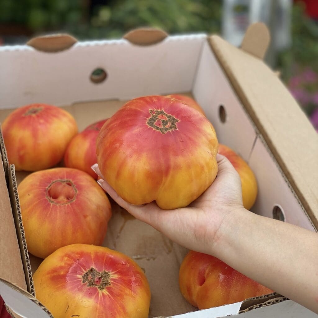 10# Box of Heirloom Tomatoes