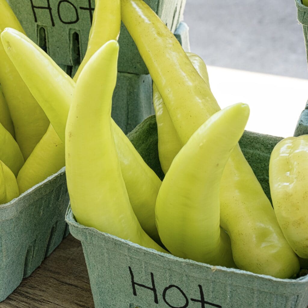 1/2 Bushel of Hungarian Wax Hot Peppers