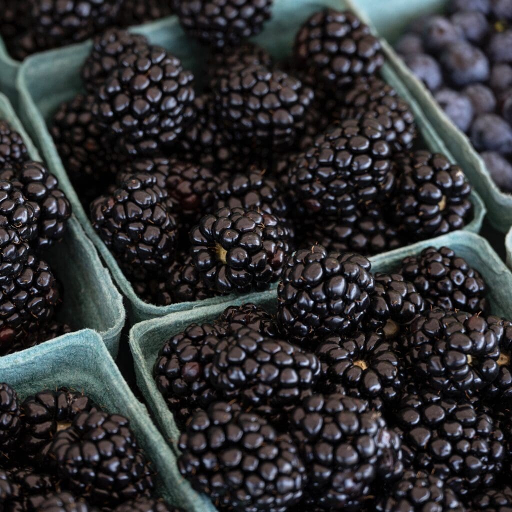 Blackberries by the Pint