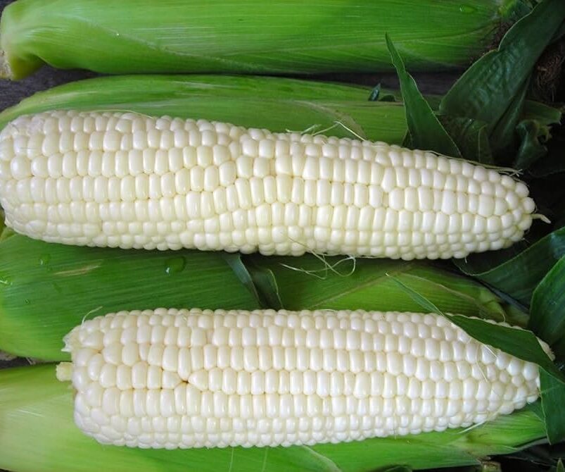 White Corn Party Bag
