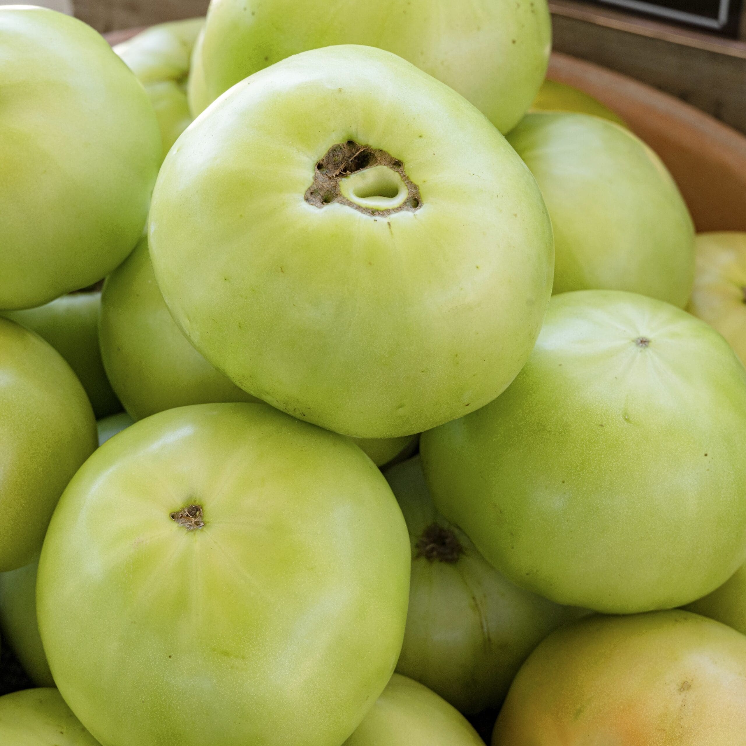 Green Tomatoes