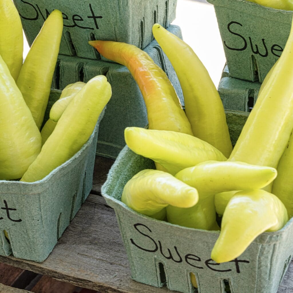 1/2 Bushel of Sweet Banana Peppers