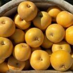 Pears