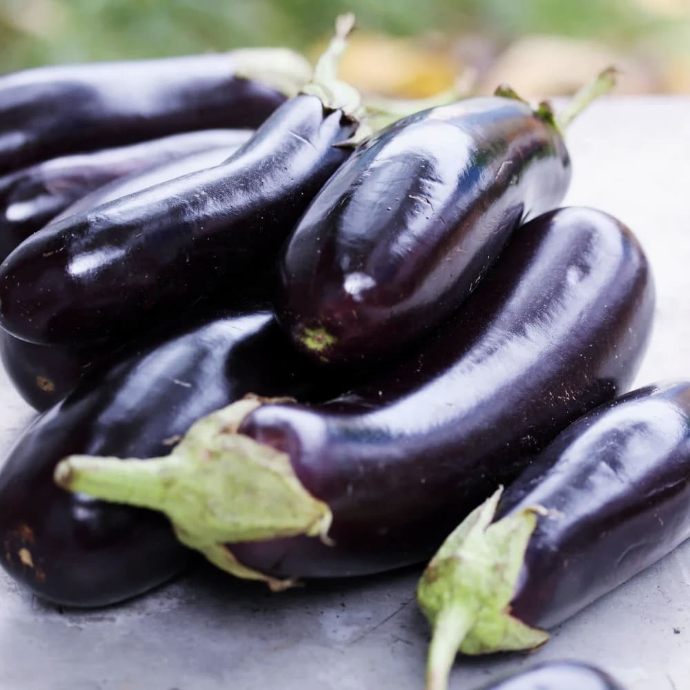 Eggplant - 1 Bushel