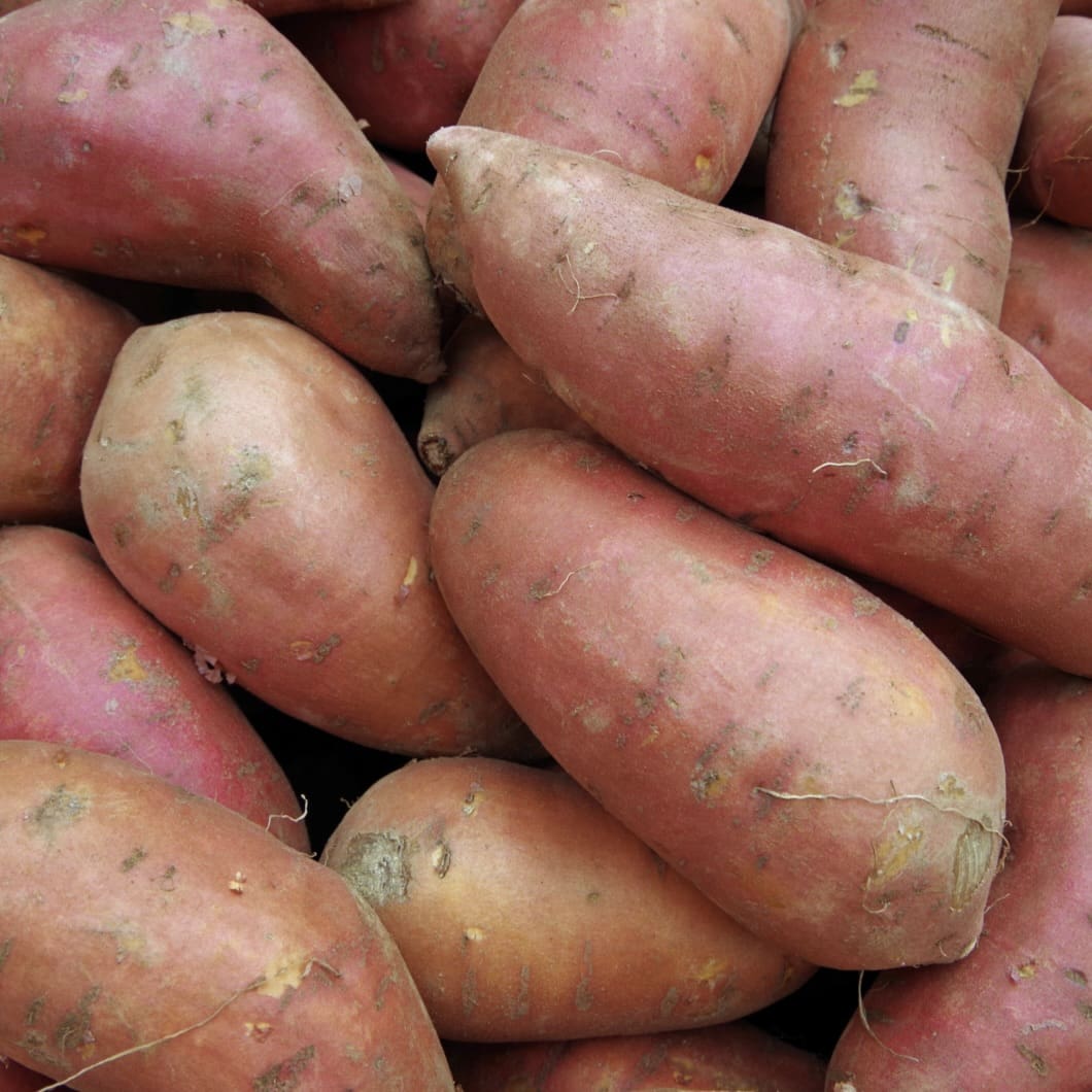 Sweet Potatoes - 40 lbs.